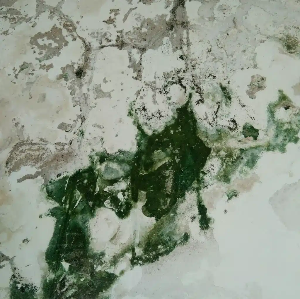 rock